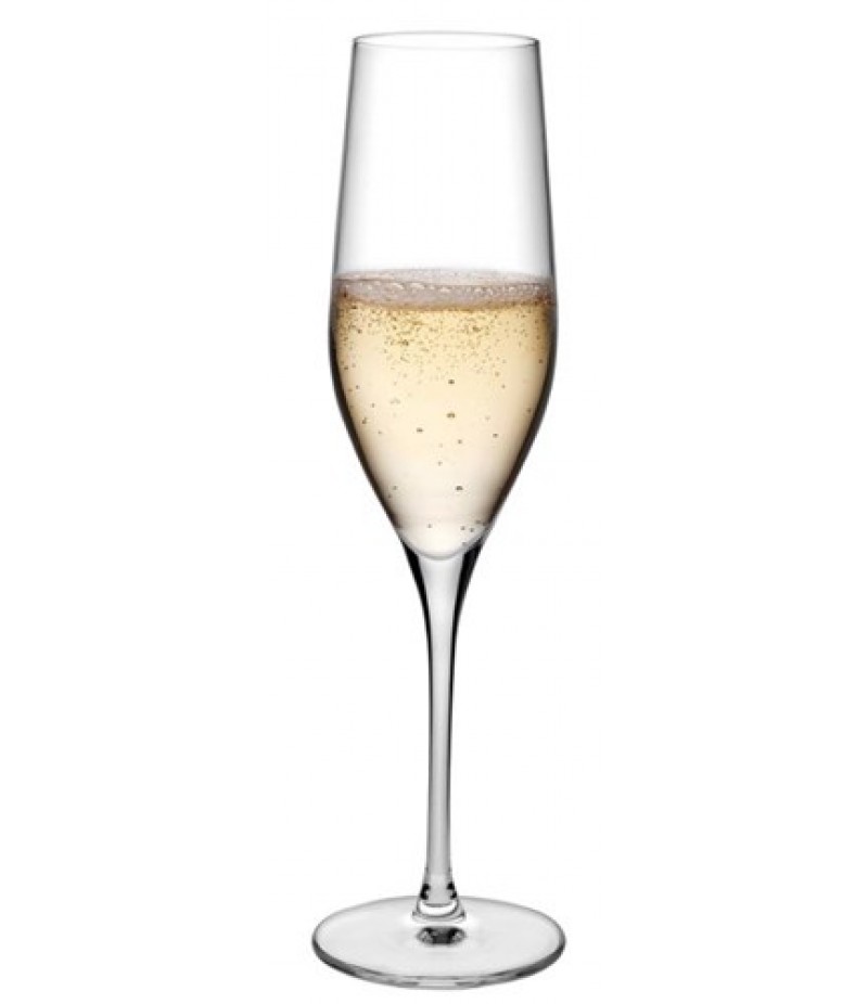 Champagne Glas 255ml Vinifera (66079) 6 Stuks